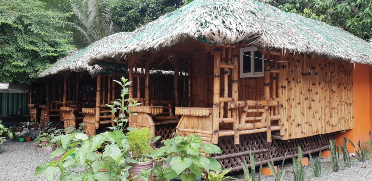 Unodus Tourist Inn سان فيسنتي المظهر الخارجي الصورة